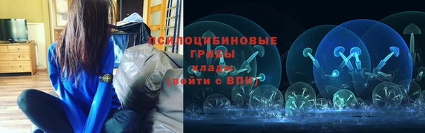 спайс Дмитров