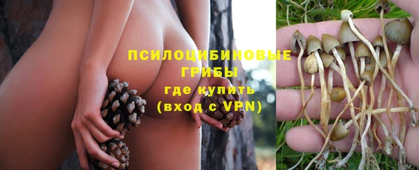 герыч Шали