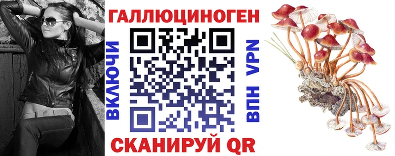 как найти закладки  Оха  Псилоцибиновые грибы Psilocybe 