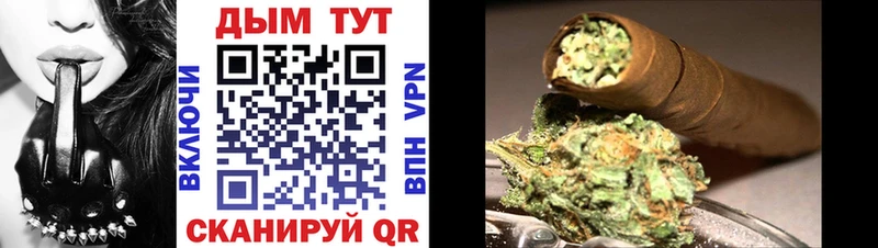 где продают   мориарти состав  мега зеркало  Шишки марихуана индика  Оха 